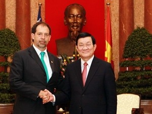 Chủ tịch nước Trương Tấn Sang tiếp Chủ tịch Thượng viện Chi Lê - ảnh 1